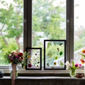 Garden Window