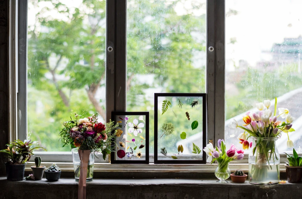Garden Window